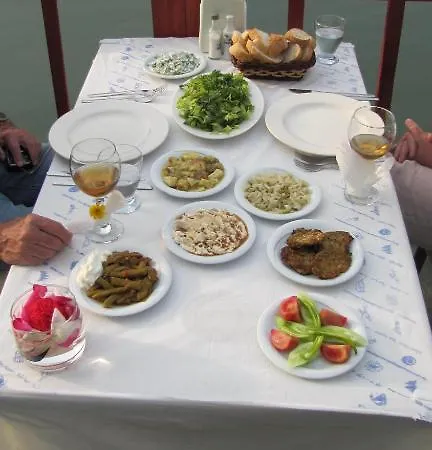 Holiday Hotel Dalyan מלון